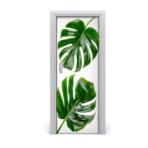 Fototapeta na dveře Monstera