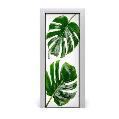 Fototapeta na dveře Monstera