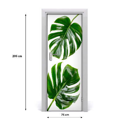 Fototapeta na dveře Monstera