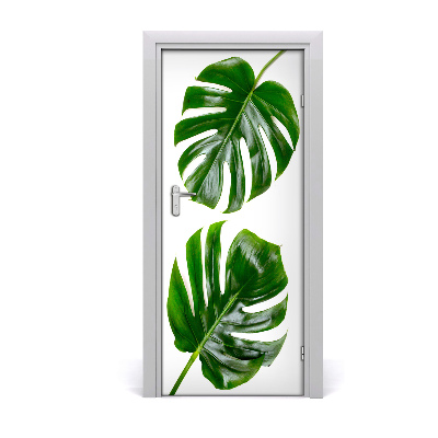 Fototapeta na dveře Monstera