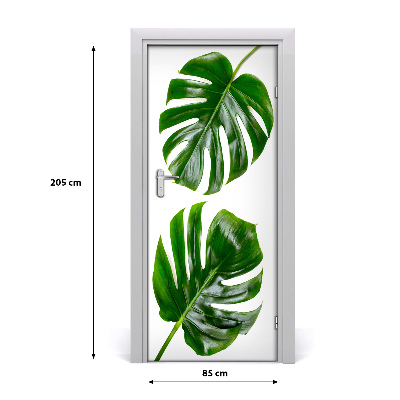 Fototapeta na dveře Monstera