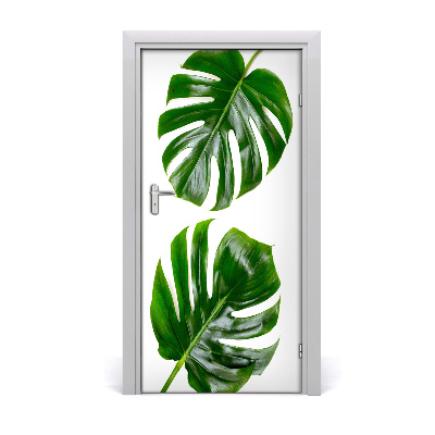 Fototapeta na dveře Monstera