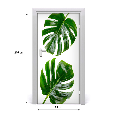 Fototapeta na dveře Monstera