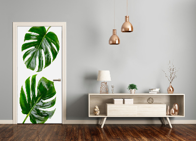 Fototapeta na dveře Monstera