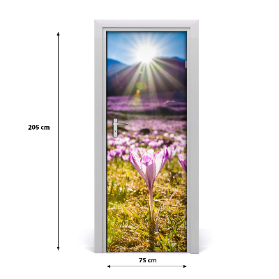Fototapeta na dveře samolepící Krokusy v horách