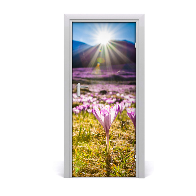 Fototapeta na dveře samolepící Krokusy v horách