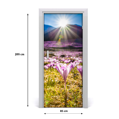 Fototapeta na dveře samolepící Krokusy v horách