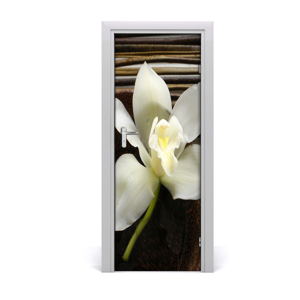 Fototapeta na dveře Orchidej