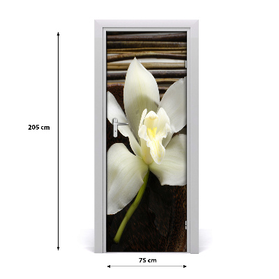 Fototapeta na dveře Orchidej