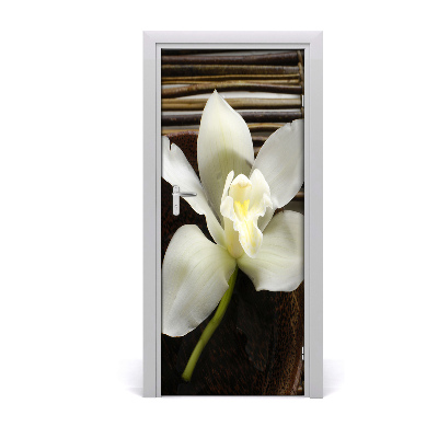 Fototapeta na dveře Orchidej
