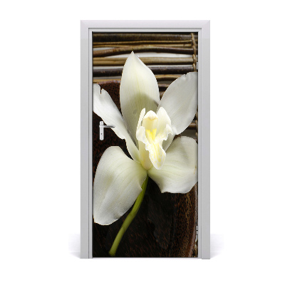 Fototapeta na dveře Orchidej