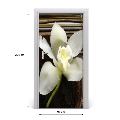 Fototapeta na dveře Orchidej