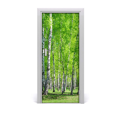 Fototapeta na dveře samolepící břízový les
