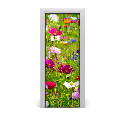 Fototapeta na dveře Polní květiny