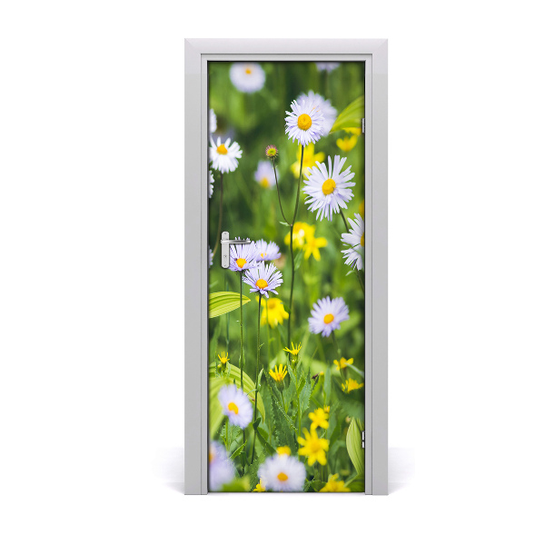 Fototapeta na dveře Sedmikárska