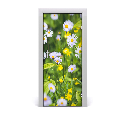 Fototapeta na dveře Sedmikárska