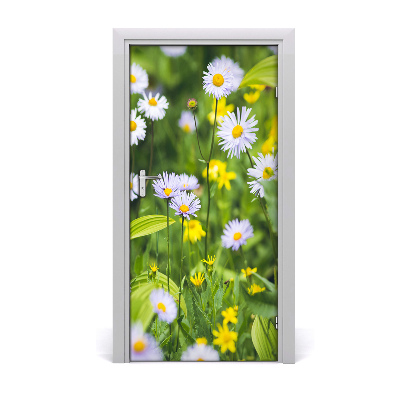 Fototapeta na dveře Sedmikárska