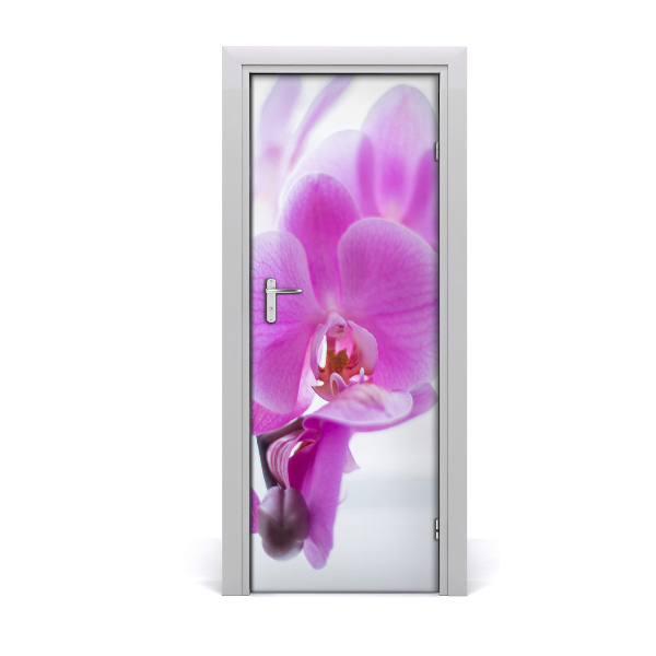 Fototapeta na dveře Růžová orchidej
