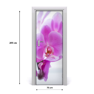 Fototapeta na dveře Růžová orchidej