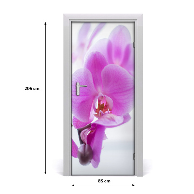 Fototapeta na dveře Růžová orchidej