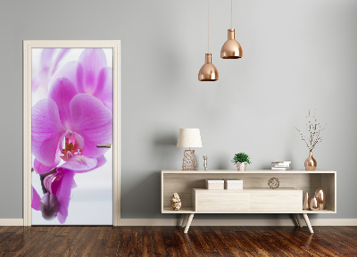 Fototapeta na dveře Růžová orchidej
