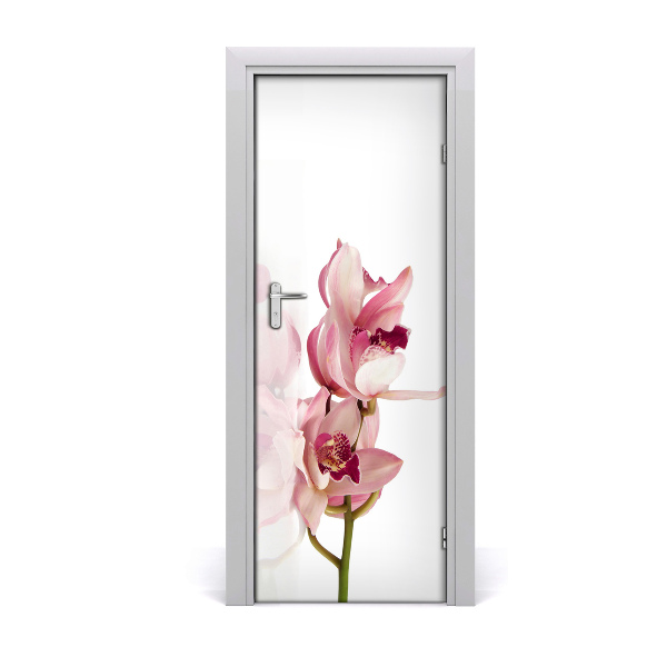 Fototapeta na dveře Růžová orchidej