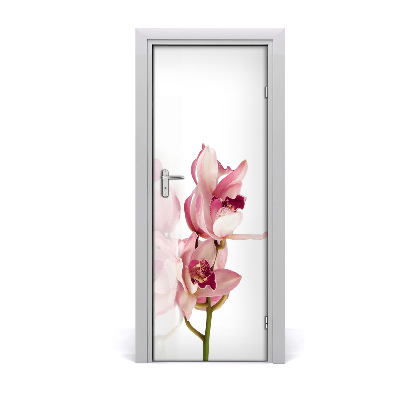 Fototapeta na dveře Růžová orchidej