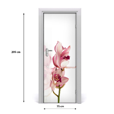 Fototapeta na dveře Růžová orchidej