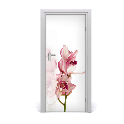 Fototapeta na dveře Růžová orchidej