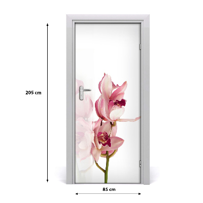 Fototapeta na dveře Růžová orchidej