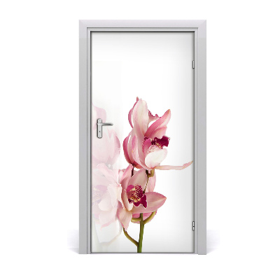 Fototapeta na dveře Růžová orchidej
