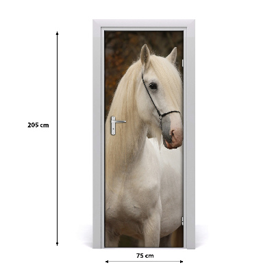 Samolepící fototapeta na dveře Bílý kůň