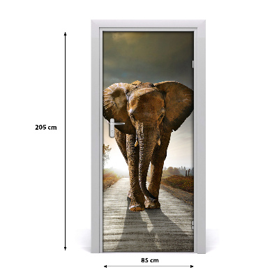 Samolepící fototapeta na dveře Chodící slon