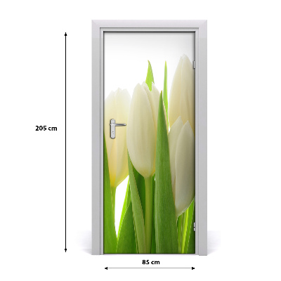 Fototapeta na dveře Bílé tulipány