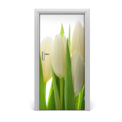 Fototapeta na dveře Bílé tulipány