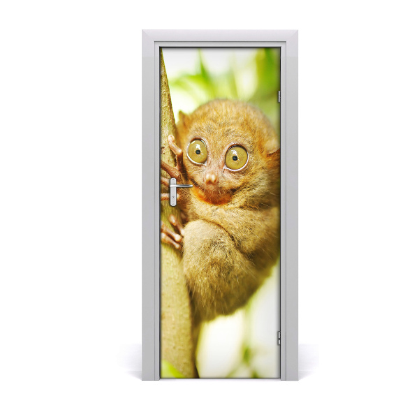 Samolepící fototapeta na dveře Nártoun celebeský