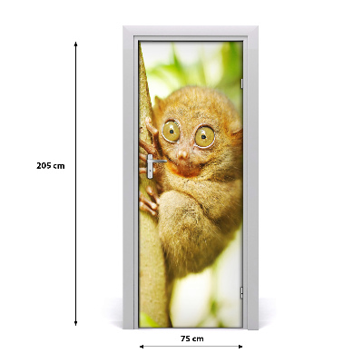 Samolepící fototapeta na dveře Nártoun celebeský