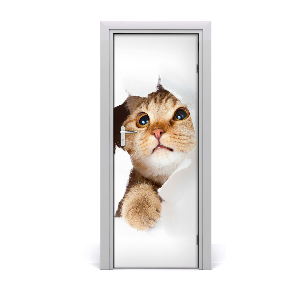 Samolepící fototapeta na dveře ścianę Kot