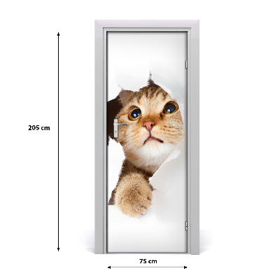 Samolepící fototapeta na dveře ścianę Kot