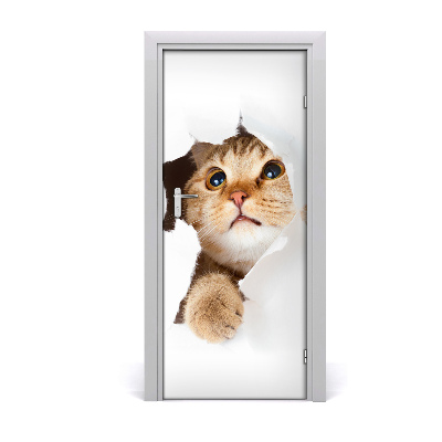 Samolepící fototapeta na dveře ścianę Kot