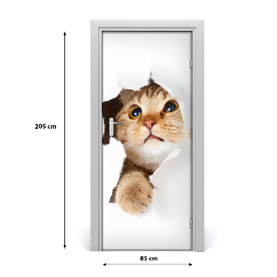 Samolepící fototapeta na dveře ścianę Kot