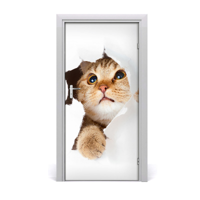 Samolepící fototapeta na dveře ścianę Kot