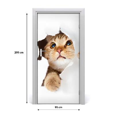 Samolepící fototapeta na dveře ścianę Kot
