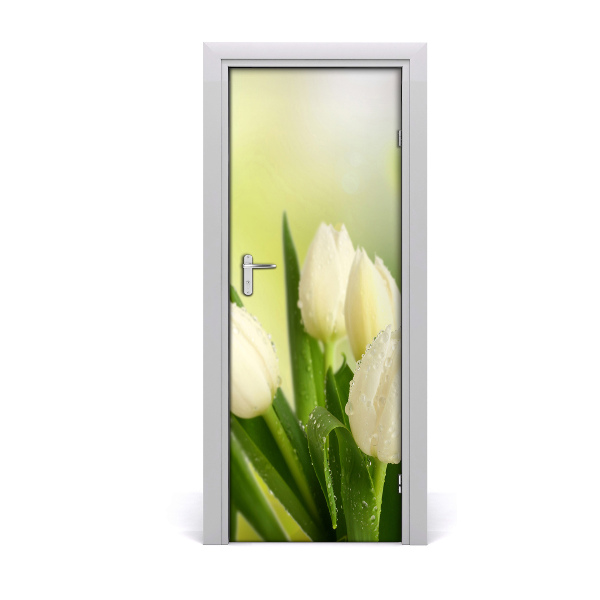 Fototapeta na dveře Bílé tulipány