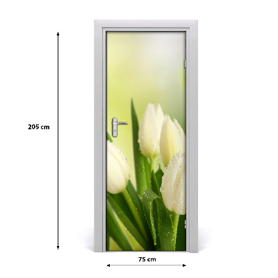 Fototapeta na dveře Bílé tulipány