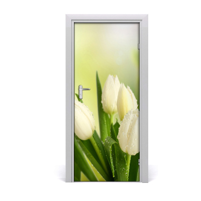 Fototapeta na dveře Bílé tulipány