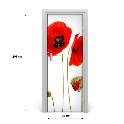 Fototapeta na dveře Polní mák