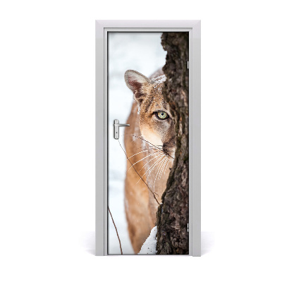 Fototapeta samolepící na dveře horská puma