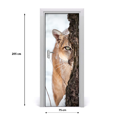 Fototapeta samolepící na dveře horská puma