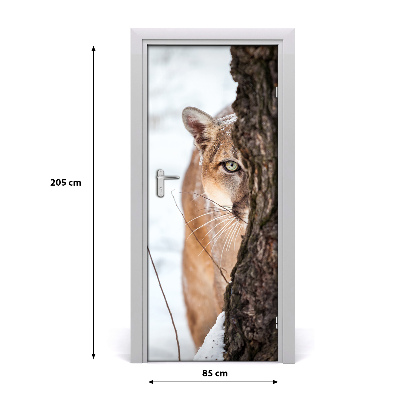 Fototapeta samolepící na dveře horská puma